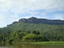 Novo decreto cria a Floresta Nacional do Parima