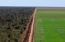 Governo estuda restringir licenças ambientais no Cerrado