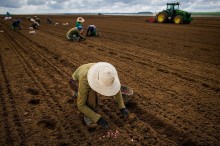 Agro gerou 27% das novas vagas de trabalho em 2023