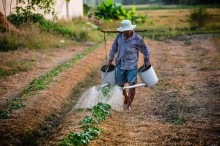 Sebrae fecha acordo internacional para Impulsionar a agricultura familiar