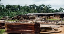 Avança no Congresso o estímulo à produção de madeira certificada em lotes da reforma agrária