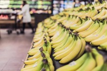 Estado de SP produz 26% das bananas do país