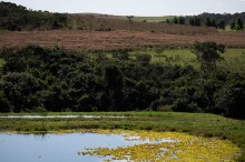 CNA lança programa de retificação do Cadastro Ambiental Rural