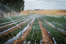 Avança na Câmara PL que classifica as obras para irrigação como utilidade pública