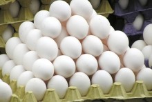 Produtores baixam preços para acelerar venda de ovos