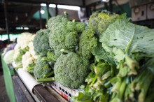 Cotação revela nova queda de preços das hortaliças
