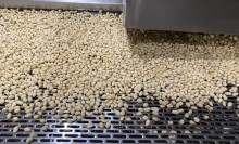 SP amplia número de empresas exportadoras de amendoim