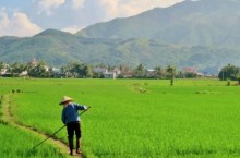 Brasil amplia acordo de cooperação agrícola com o Vietnã