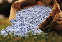 Brasil e Bolívia bsucam acordo para produção de fertilizantes