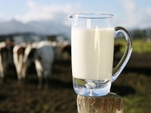 CNA cobra medidas urgentes para ‘salvar’ cadeia produtiva do leite