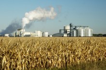 Usina do Pará vai produzir etanol de milho a partir do ano que vem