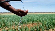 Setores unem forças em busca de solução para projetos de irrigação do Sistema Itaparica