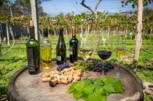 Avança proposta que insere o vinho na categoria de 'alimento natural'