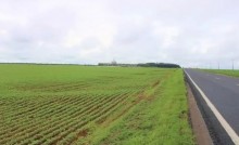 Senado aprova projeto que incentiva a agricultura na beira de rodovias