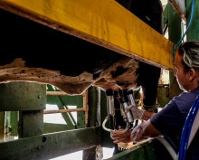 Mato Grosso premia vacas leiteiras em programa de apoio ao setor