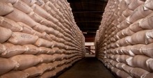Com retenção nos estoques e procura externa, preço do milho segue em alta