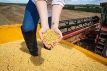 Goiás deve assumir terceira posição na produção de grãos no Brasil