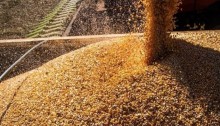 VBP da Agropecuária vai a R$ 1,150 trilhão