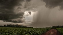 'Efeitos do El Niño na agricultura vão até 2024', diz FAO