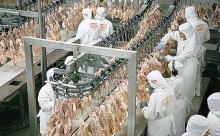Japão anuncia fim do embargo às exportações de frango