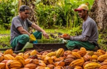 Fruticultura baiana se destaca no mercado internacional