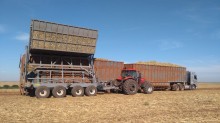SP regulariza transporte de cana para até 91 toneladas