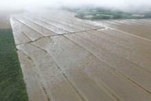 Boletim aponta impacto nas lavouras dos altos volumes de chuva no Sul do país