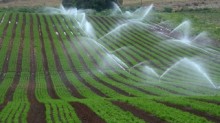 RS prorroga prazo para subvenção de projetos de irrigação