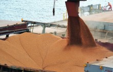 Exportações de soja e milho superam mesmo período de 2022