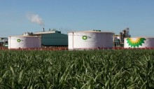 Gigante da bioenergia prevê cenário favorável ao Brasil no setor de cana-de-açúcar