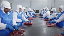Gigante mundial de proteína bovina, empresa brasileira tem melhor colocação no índice da FAIRR Initiative