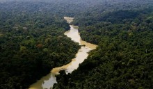 Plano nacional para desenvolvimento florestal entra em vigor a partir de 1 de dezembro
