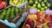 Exportações de frutas brasileiras pode superar US$ 1 bilhão em 2023