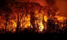 Pantanal tem recorde histórico com mais de 3 mil incêndios em novembro