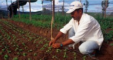 Projeto inclui a modernização da agricultura familiar entre as metas da extensão rural