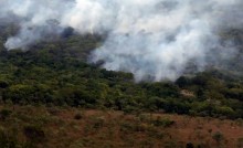 Nesta terça, comissão cobra Ibama sobre incêndios na Amazônia