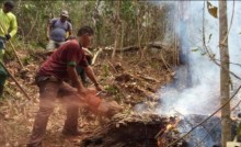 Brigadistas lutam contra fogo no Parque Nacional do Monte Pascoal na Bahia