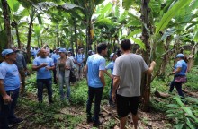 Alemanha quer implementar projeto de sustentabilidade na Amazônia