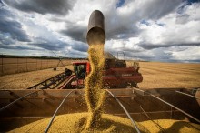 CNA aponta queda na margem de lucro do produtor do agronegócio em 2023