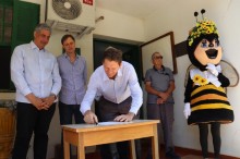 RS inicia parceria com produtores de mel do estado
