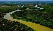 BNDES e Petrobras vão investir na preservação do Cerrado e do Pantanal