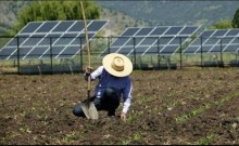 Comissão do Senado aprova projeto para microgeração de energia na agricultura familiar