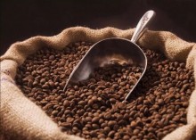 Produção de café chega a 55,1 milhões de sacas