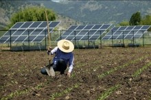 Senado aprova benefício na conta de luz para agricultor familiar com painel solar