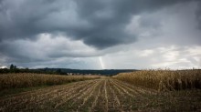 Confira como será o Verão com p El Niño para a agricultura brasileira