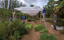 Cultivo protegido é alternativa para controlar danos com excesso de chuvas