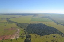 Estado de SP vai construir rede de corredores ecológicos