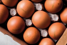 Ovos: Após ano de alta de preços, expectativa é de aumento da oferta em 2024