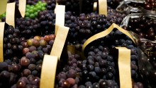 Exportação de uva bate recorde de receita em 2023