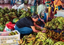 Rondônia teve aporte de 6,3 mi no PPA em 2023